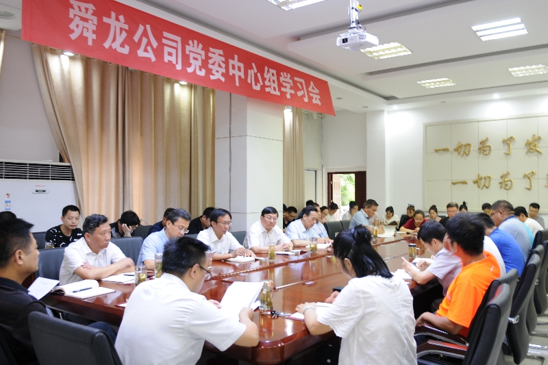 舜龍公司召開“講忠誠、嚴(yán)紀(jì)律、立政德”專題警示教育動(dòng)員會(huì)